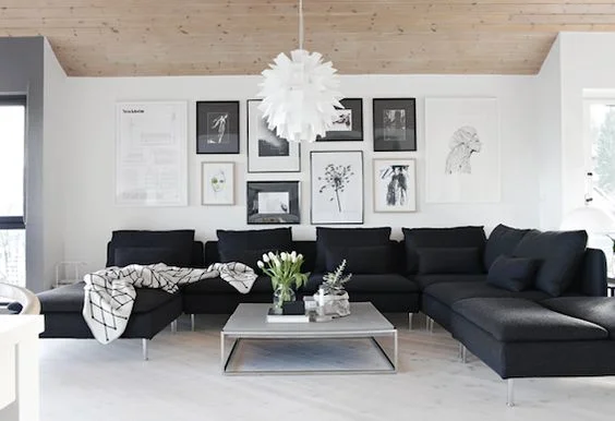 modern black and white living room