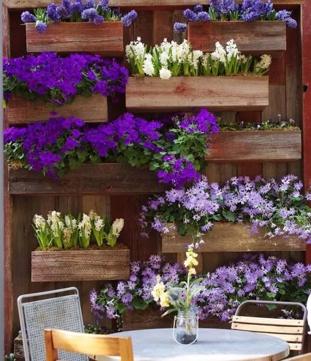 Don’t let the lack of space stop you from creating floral garden beds. Vertical box gardens are popular throughout smaller backyard spaces. 🌼

#RenoGuide #Backyard #Landscaping #Outdoor #OutdoorDesign #Flowers #DesignInspo #Backyard #BackyardGoals #Goals