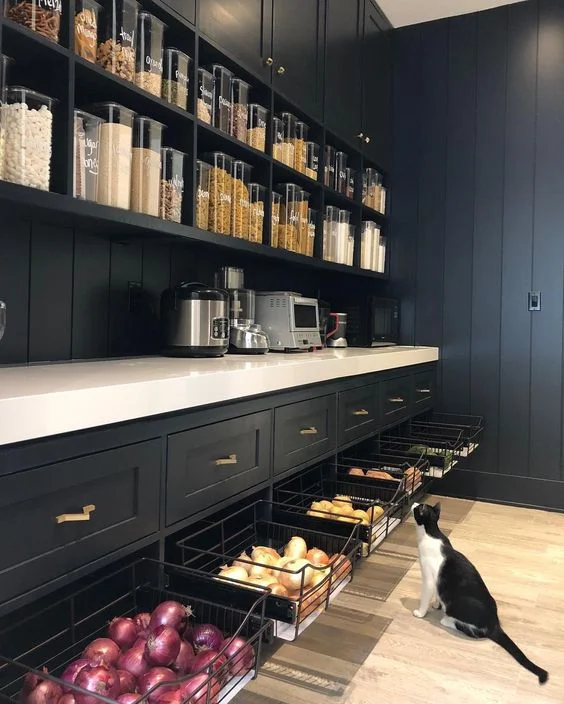 modern kitchen pantry