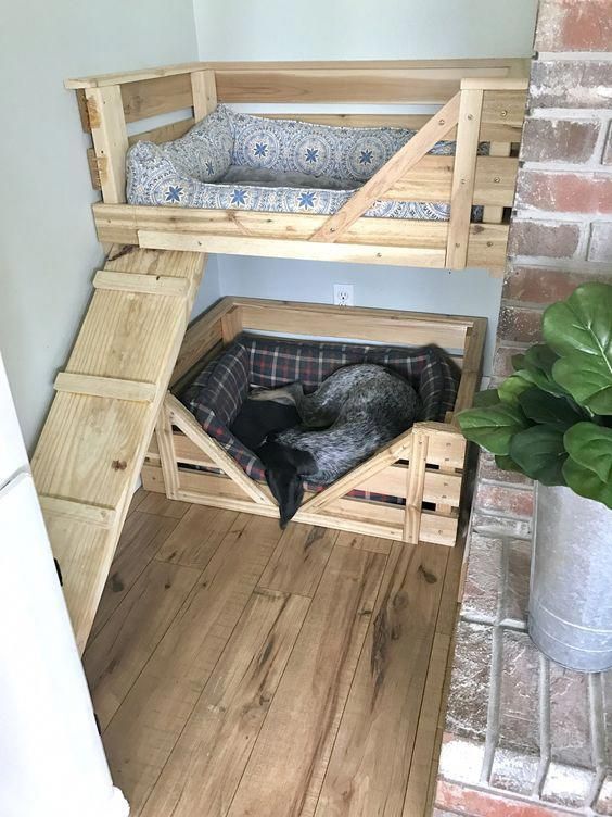 Easy Home Diy Project Ideas And Designs, Dog Bunk Beds Large