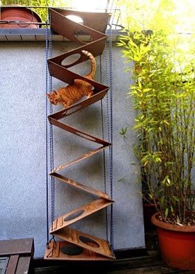 35 Pet-Friendly Backyard Ideas and Designs — RenoGuide - Australian