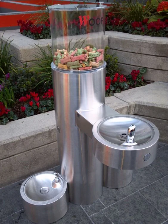 35 PetFriendly Backyard Ideas and Designs — RenoGuide Australian