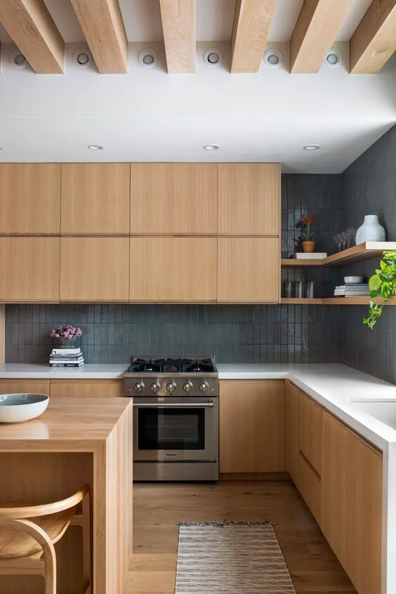 55 Modern Kitchen Cabinet Ideas And