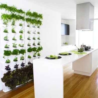 23 kitchen herb garden.jpg