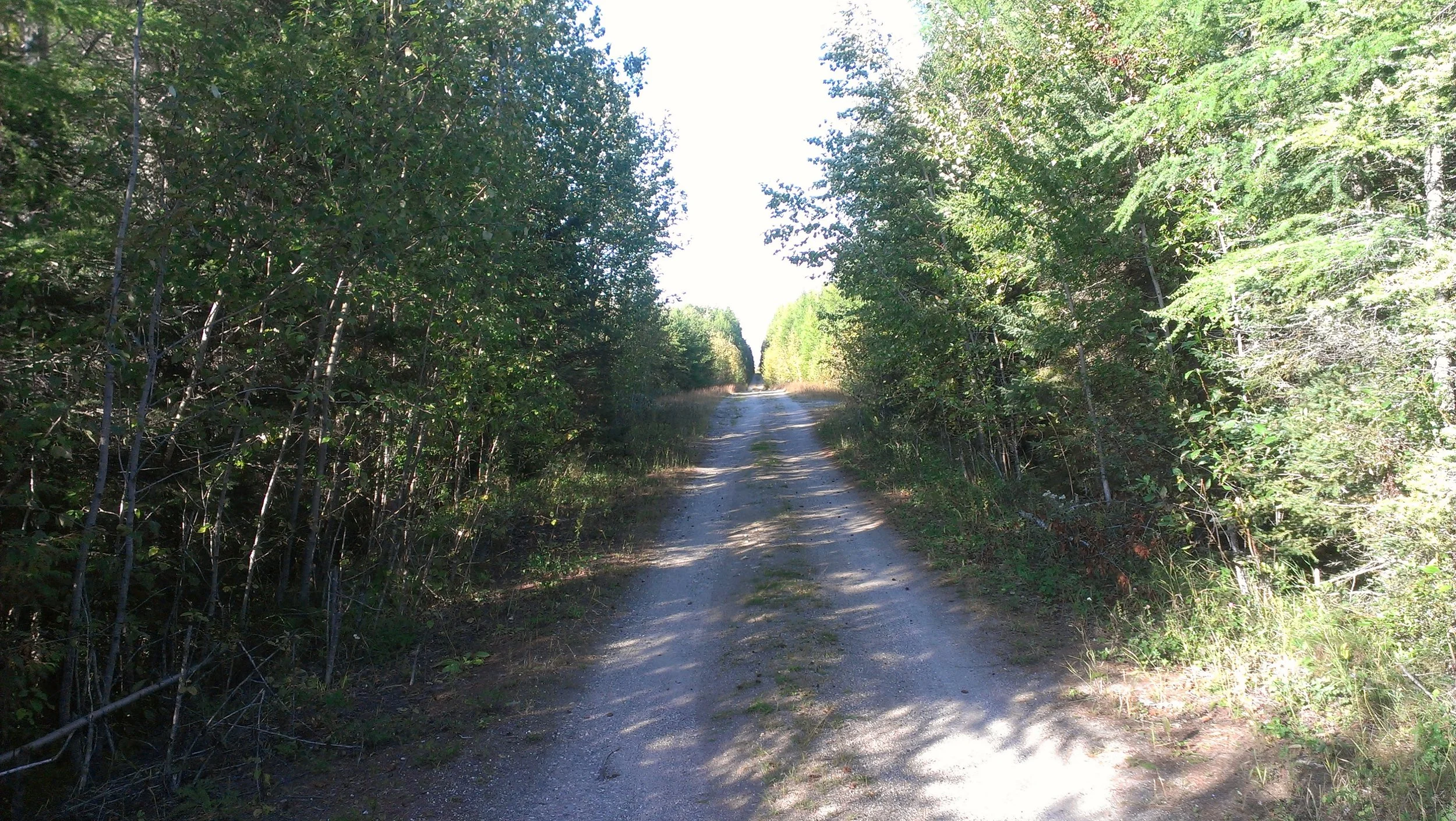 IMAG0626.jpg