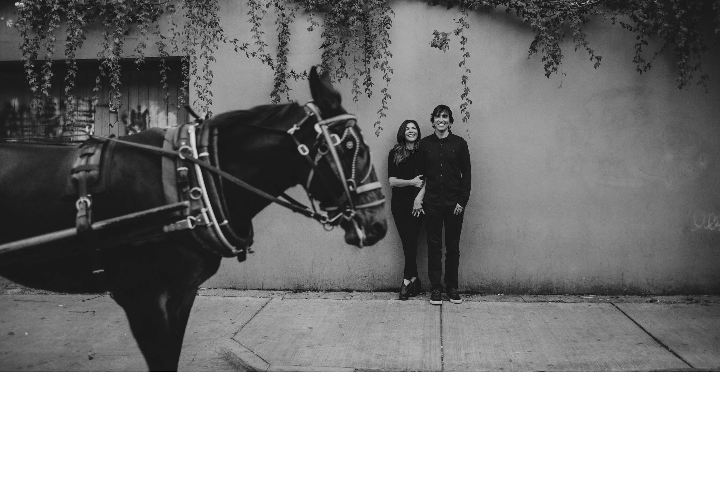 nola happy horse.jpg