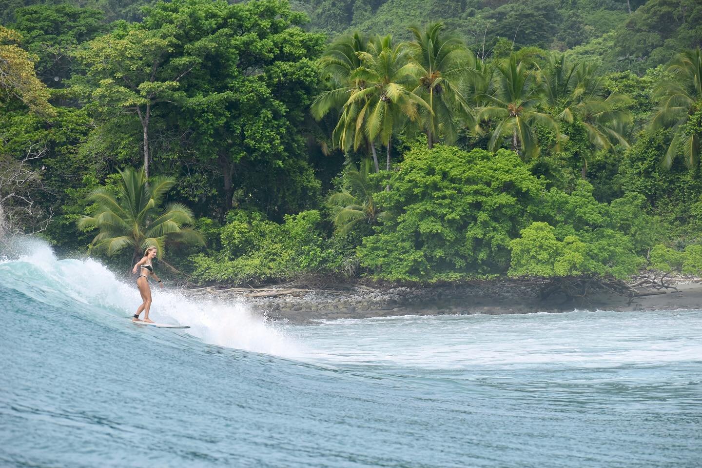 Pura Vida, Costa Rica✌🏽 1 full month of chasing waves, going left, friends, siblings, rainforest yoga, 3 stitches, birthdays, howlers, boat trips and tiny planes, and maracuya everything. Exploring the Pacific coast from the southernmost tip all the