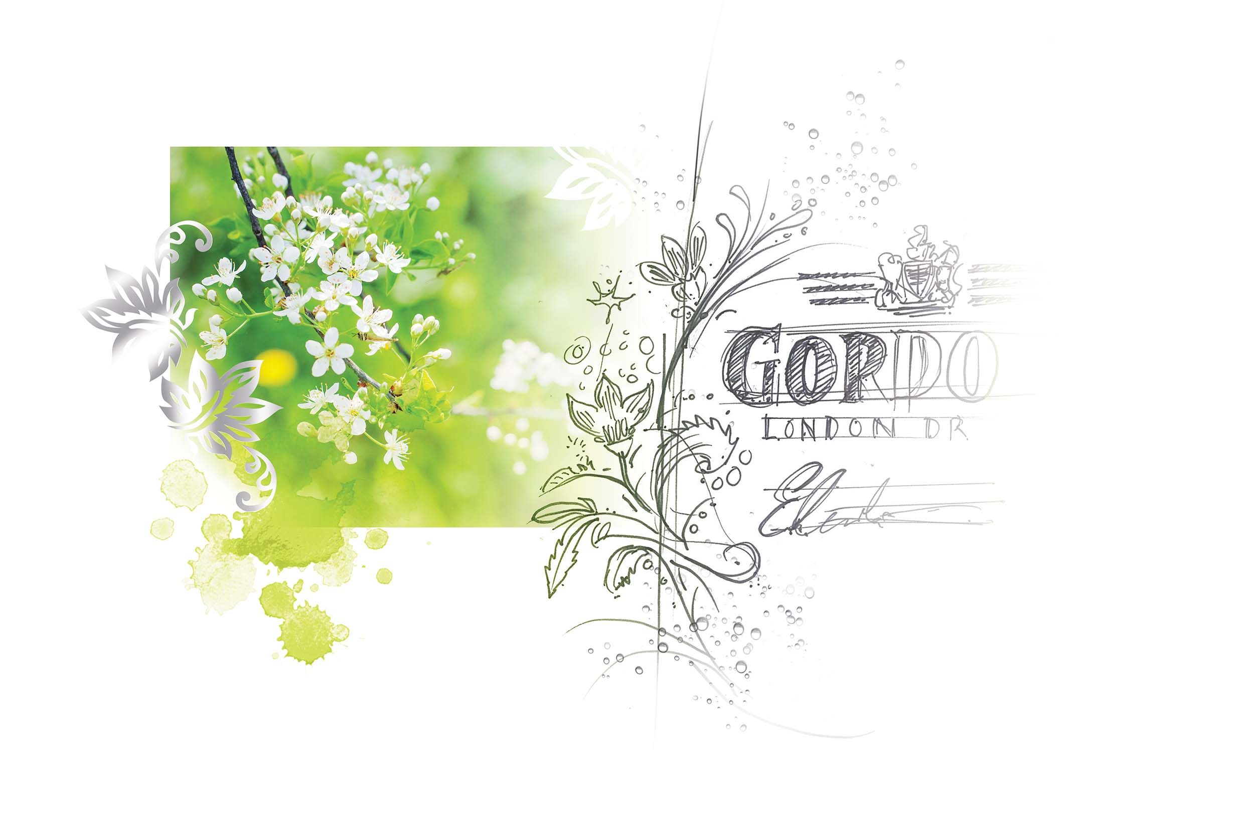 Diageo_Gordons Moodboard_150 dpi_RBG.jpg