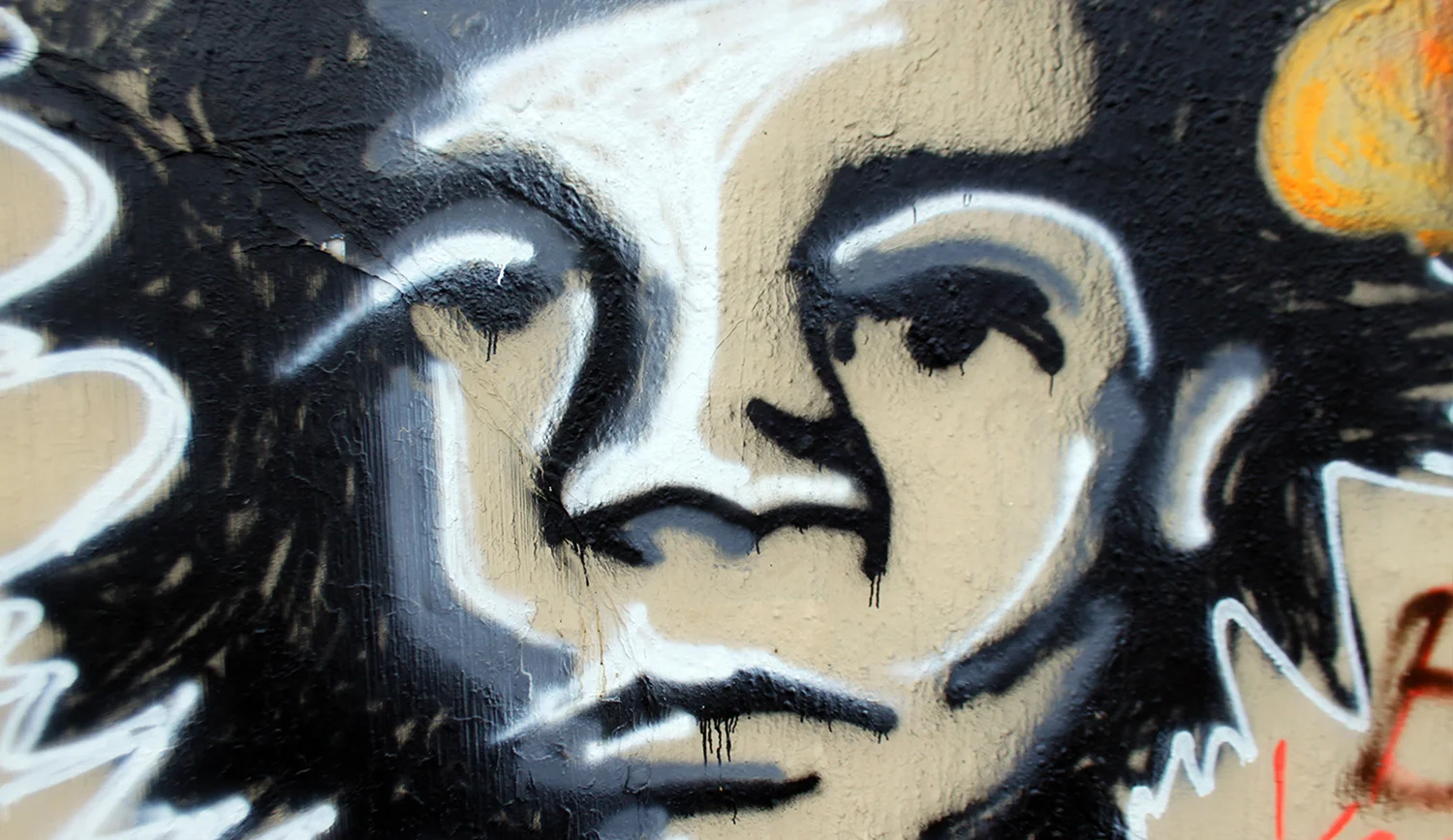 gallery3.jpg
