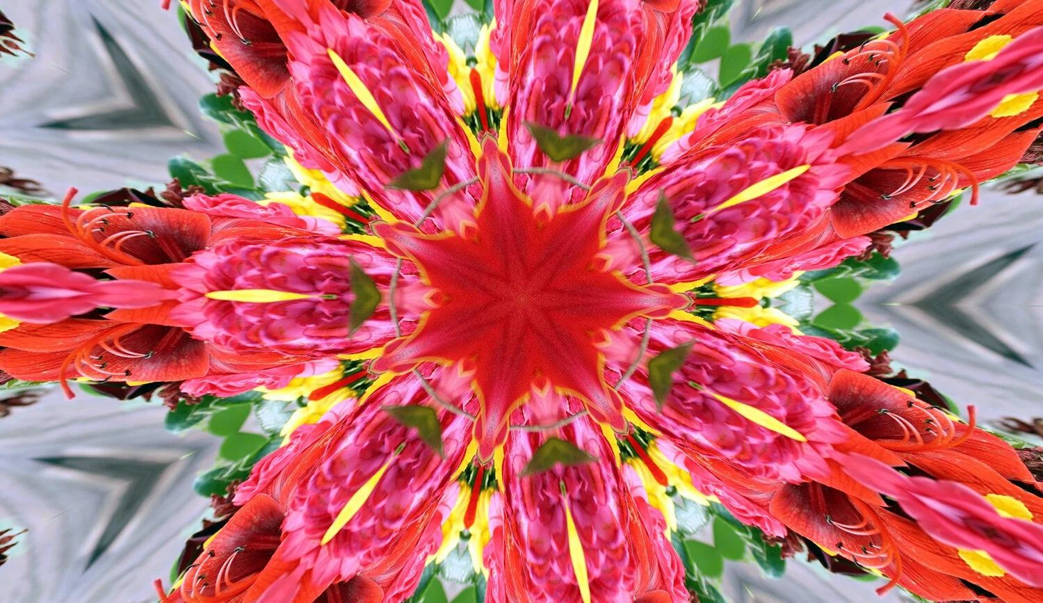 10magicfairyrings.jpg