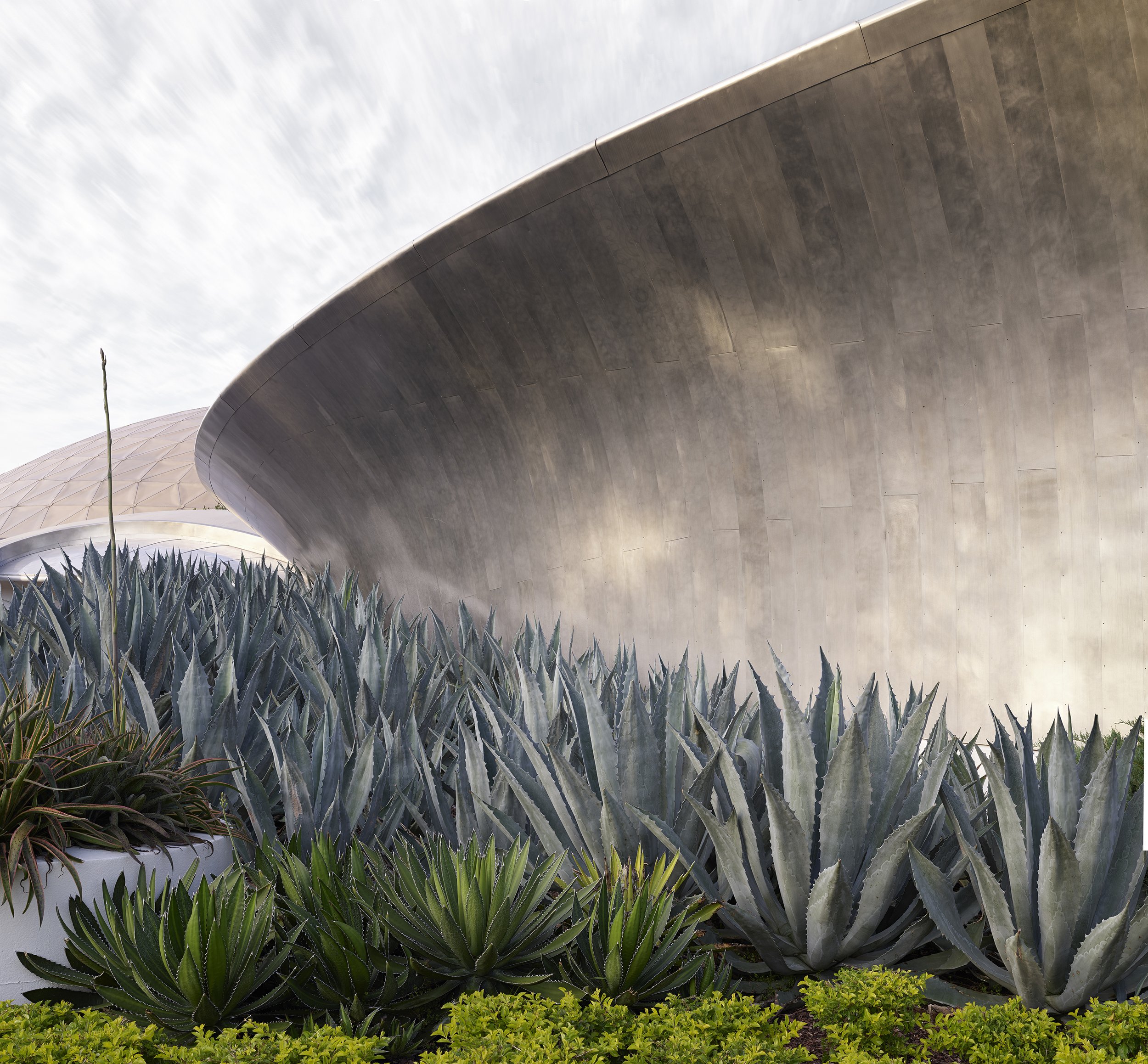 Epcot (aloe).jpg