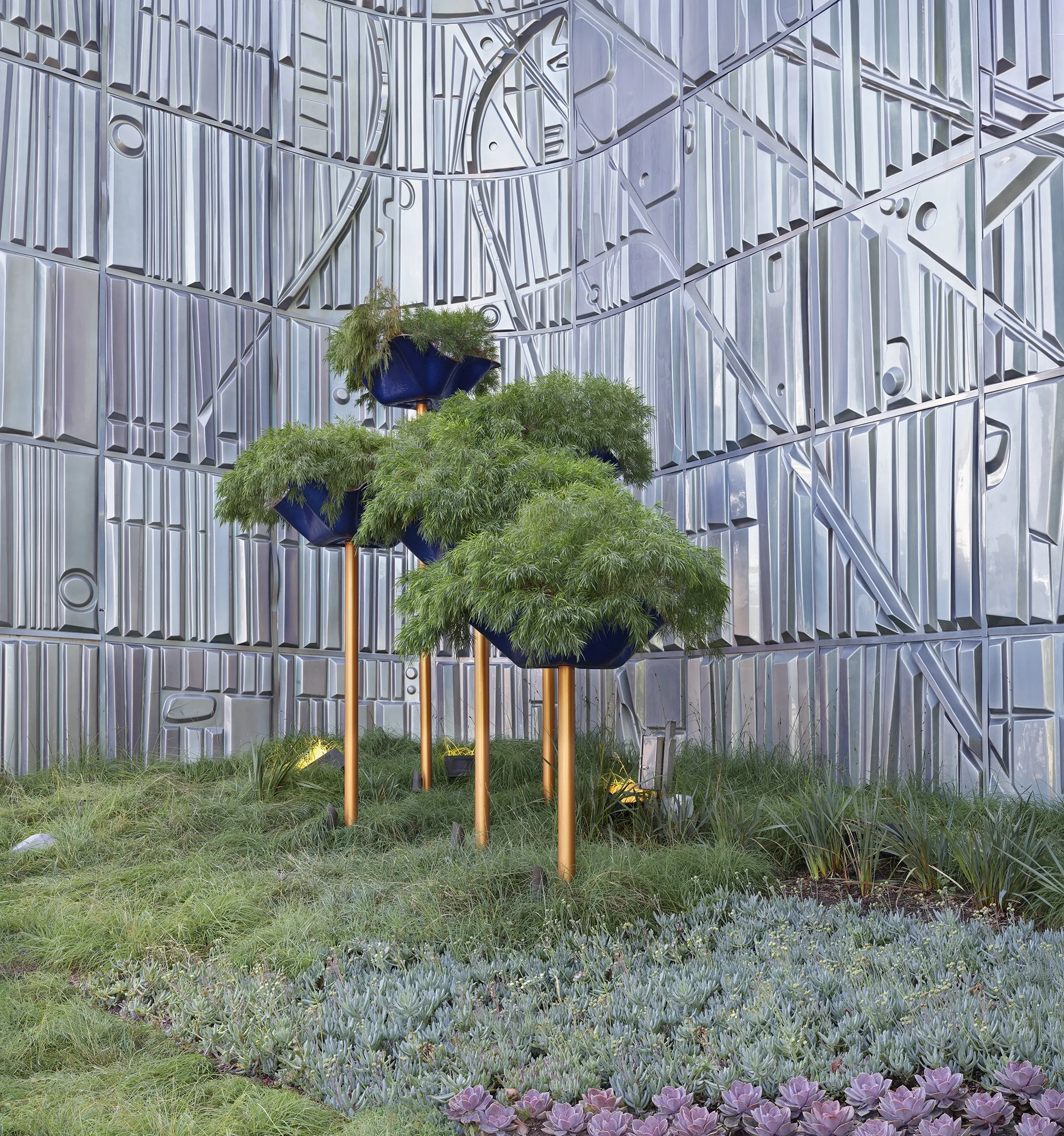 Tomorrowland (plants).jpg