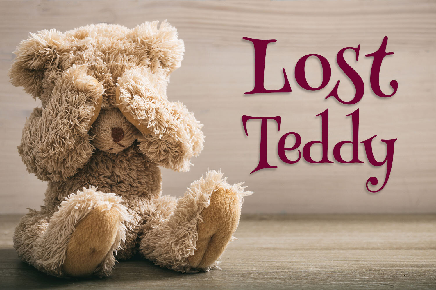 lost teddy bear