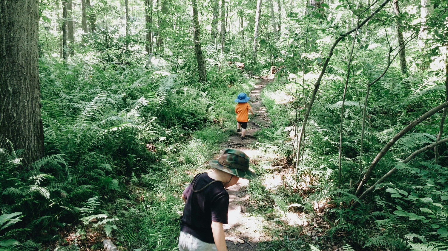 easy path for little feet