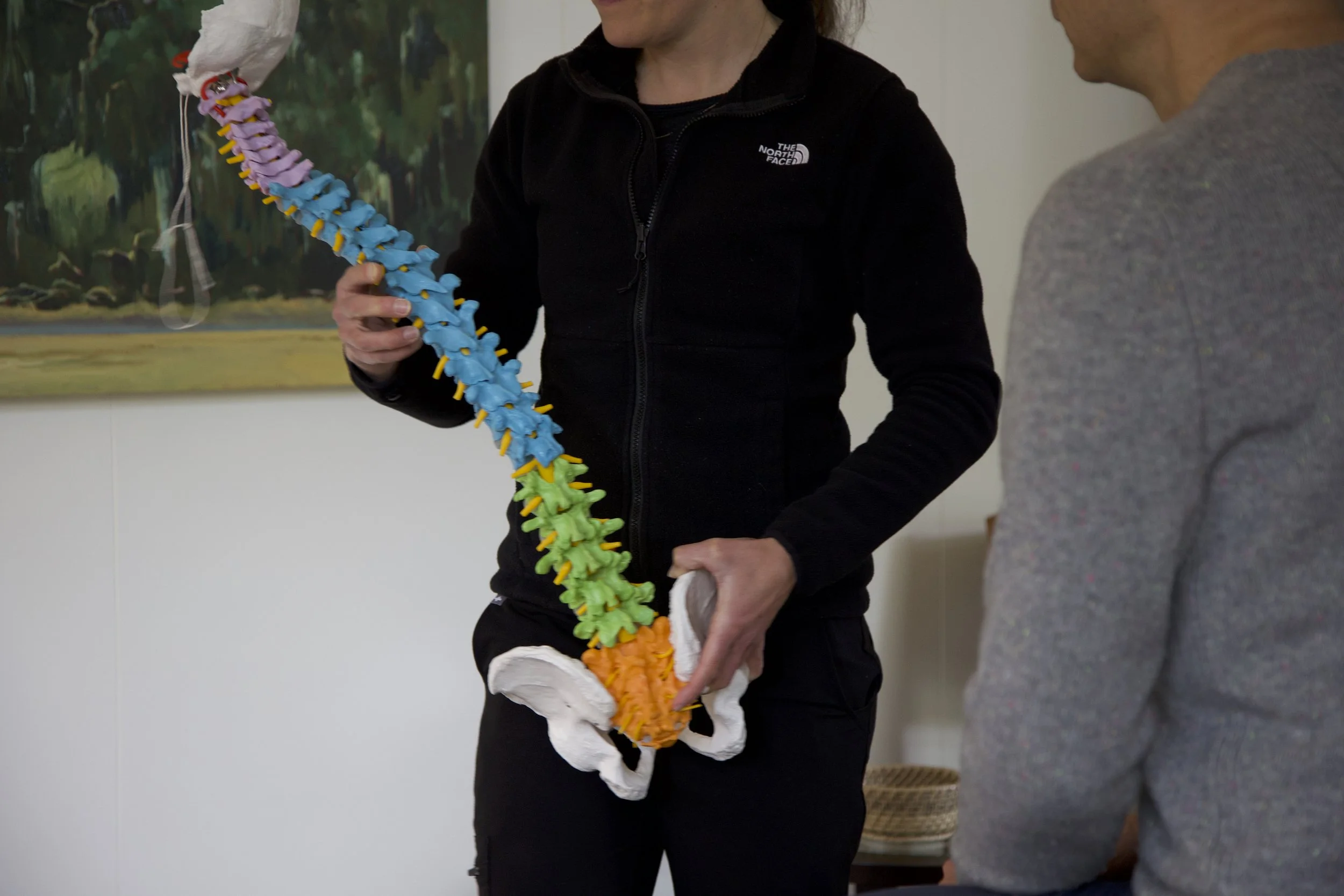 Why Athletes Break Down: The Hidden Role of Pelvic &amp; Cranial Imbalances