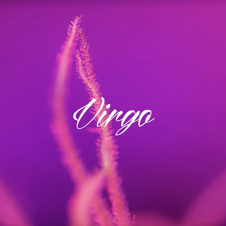 Virgo.jpeg