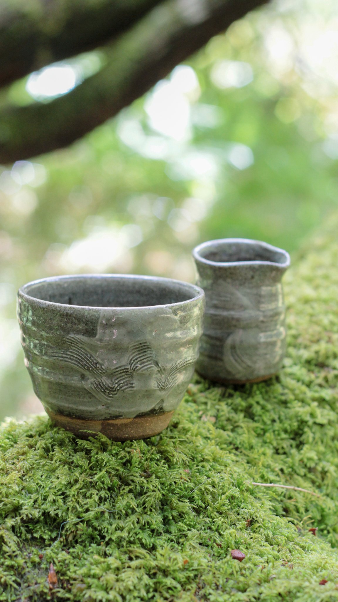 Fern Yunomi & Tiny Jug  I