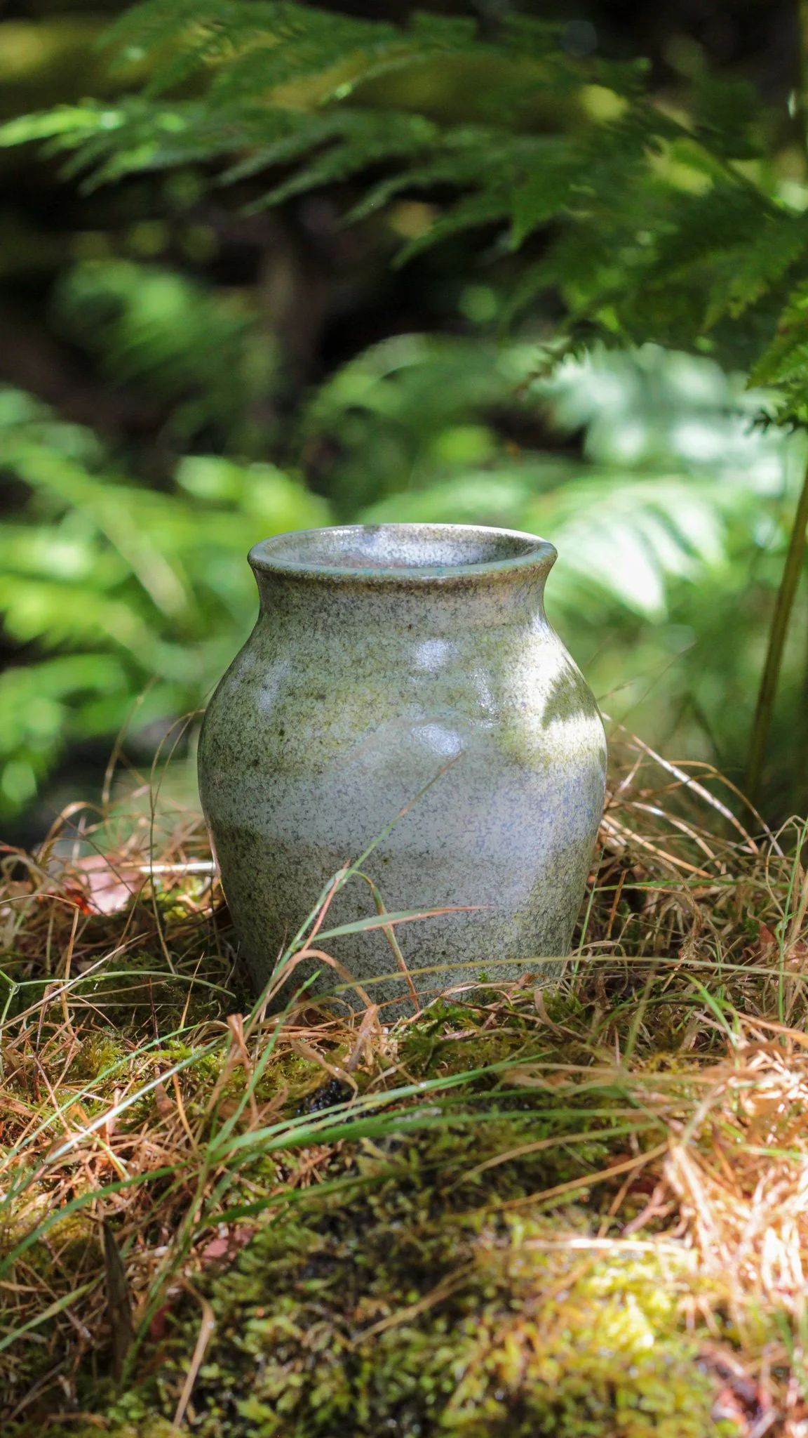 Fern Vase II