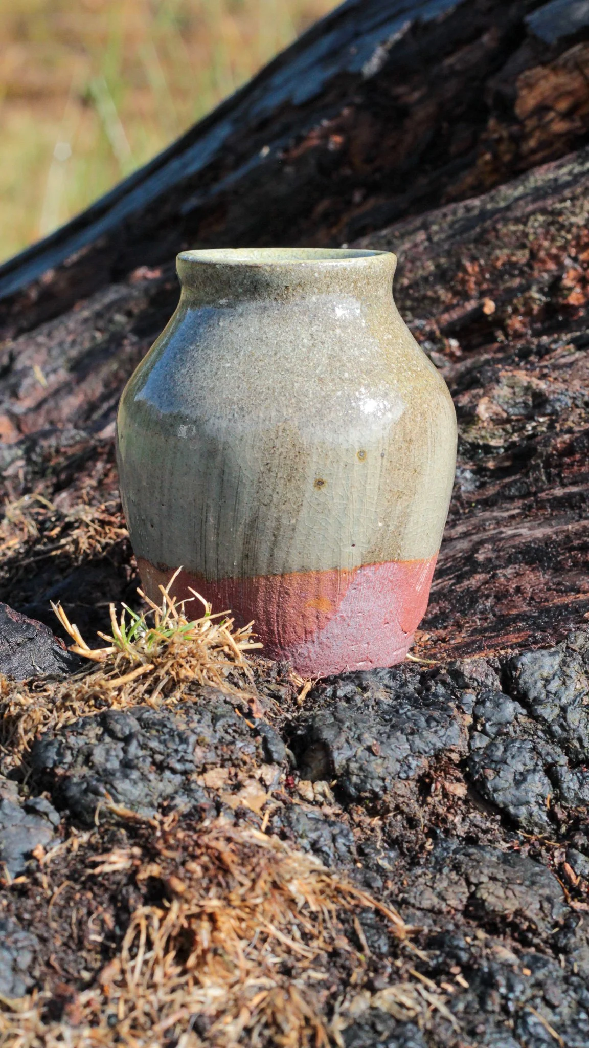 Fern Vase I