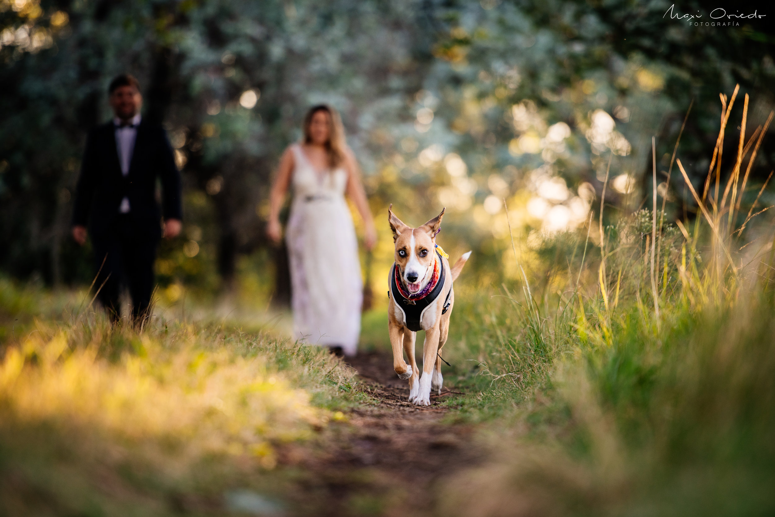 TRASH THE DRESS SAN NICOLAS BUENOS AIRES