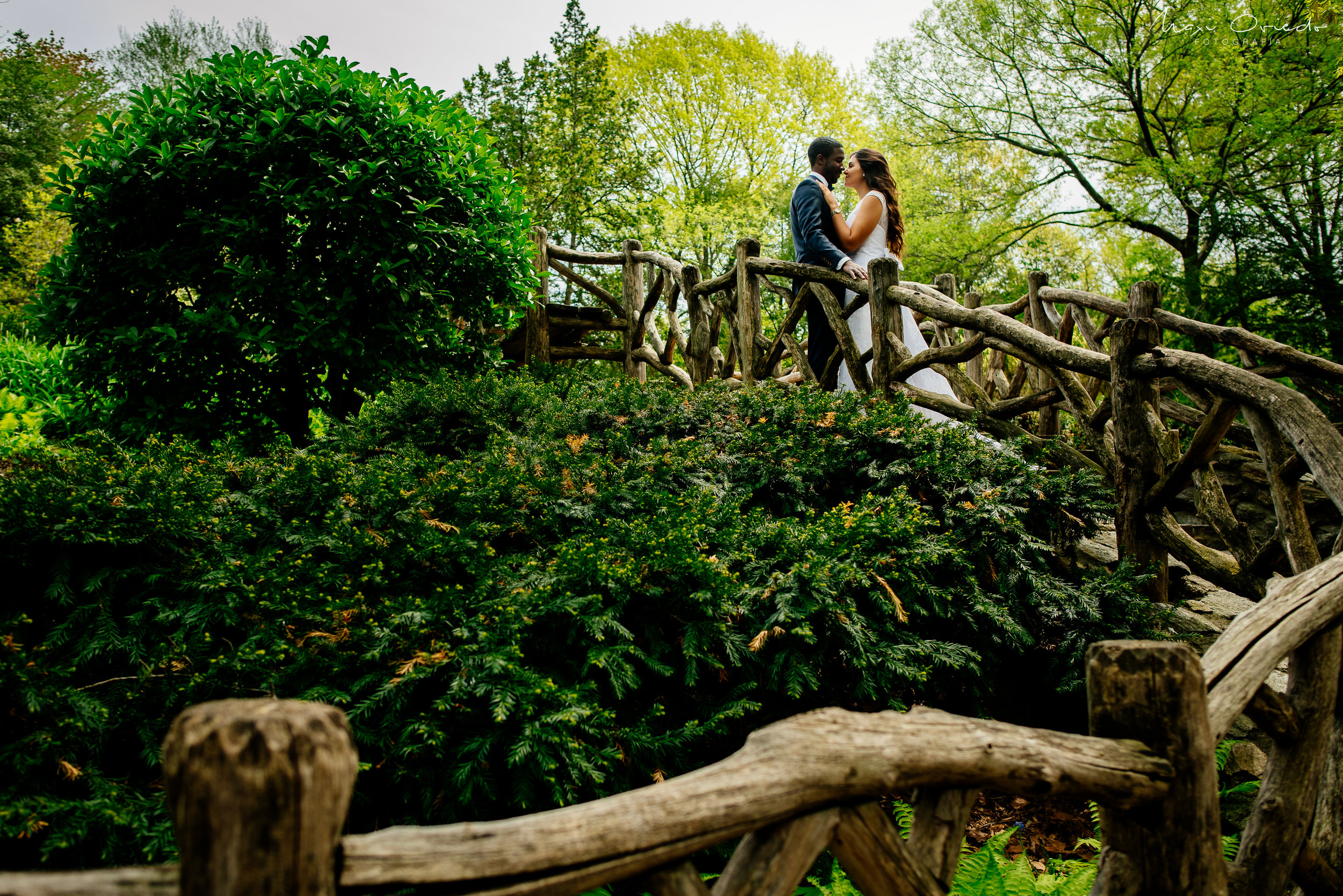 SOFIA HAROLD TRASH THE DRESS NEW YORK