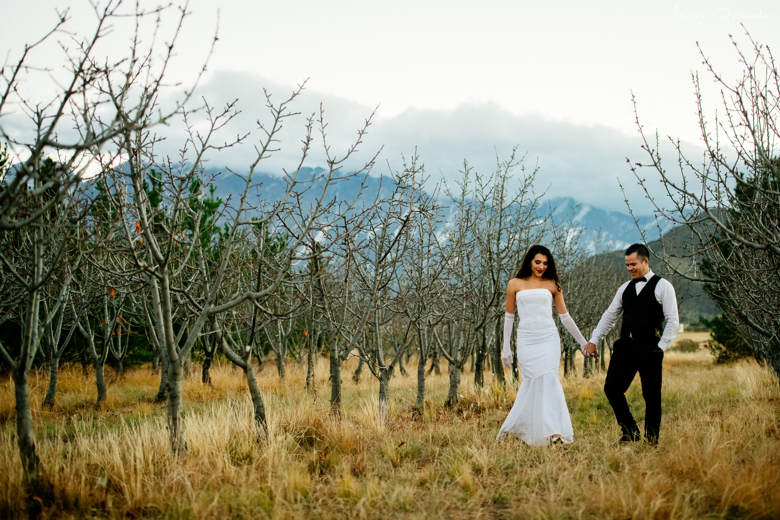 TRASH THE DRESS MENDOZA