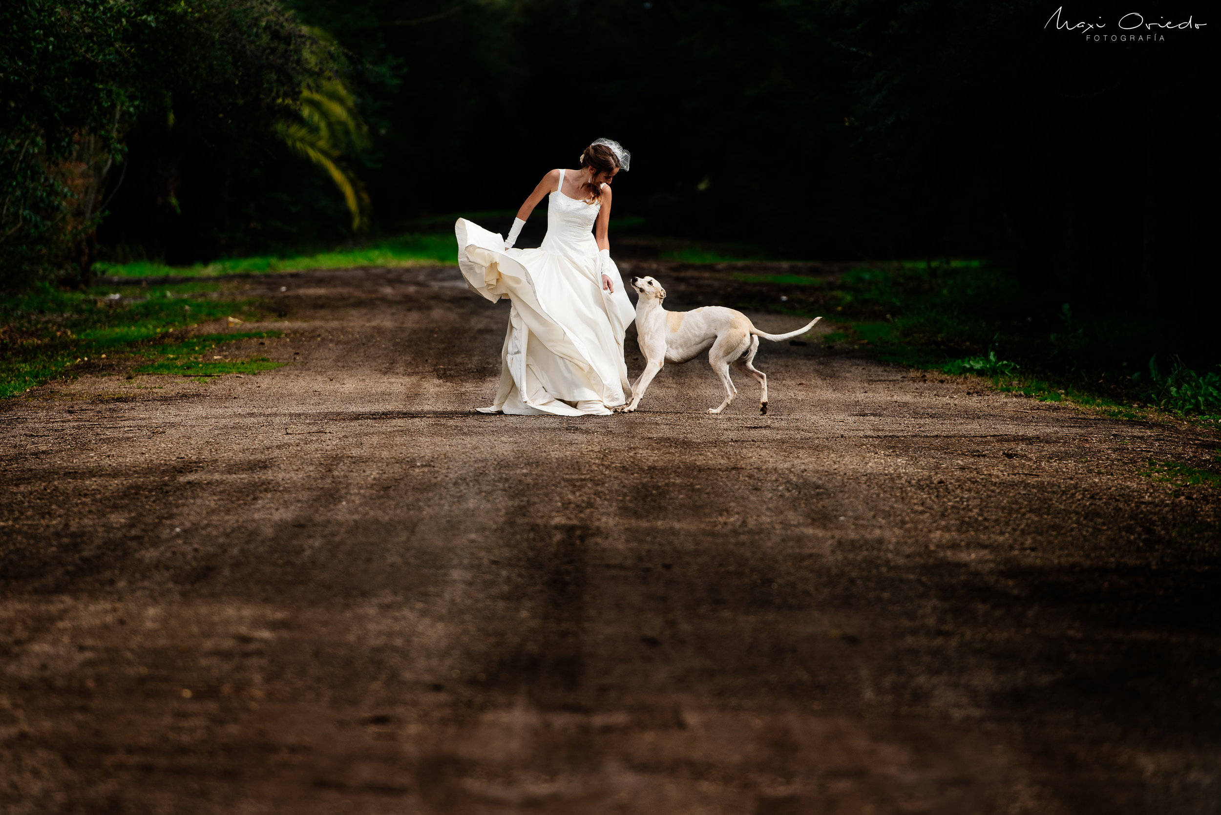 TRASH THE DRESS PAVON