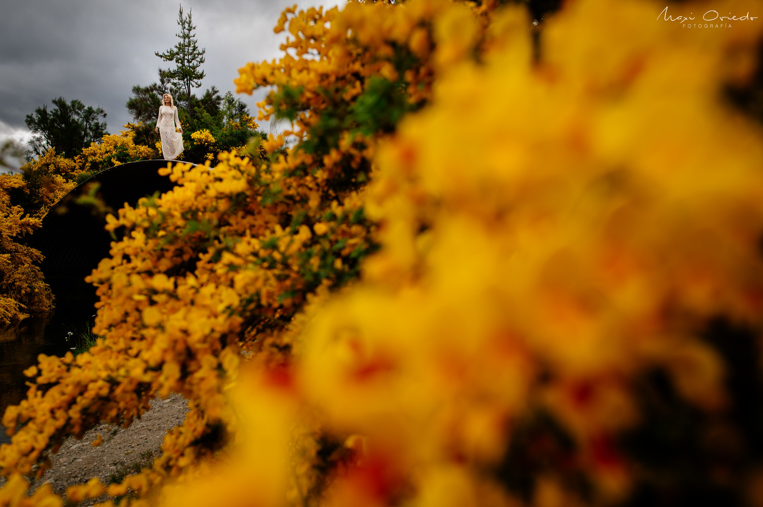 TRASH THE DRESS EN BARILOCHE