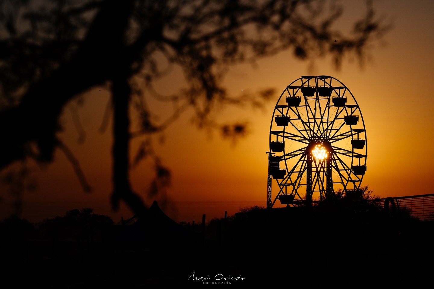 San Nicol&aacute;s tiene tantos lugares incre&iacute;bles que es dif&iacute;cil elegir uno, pero hoy decid&iacute; ir a probar un poco mi c&aacute;mara Nikon Z8 con el 20mm 1.8 , el 70-200 2.8 y el 600mm 6.3 en el ecoparque de la ciudad. Las fotos la