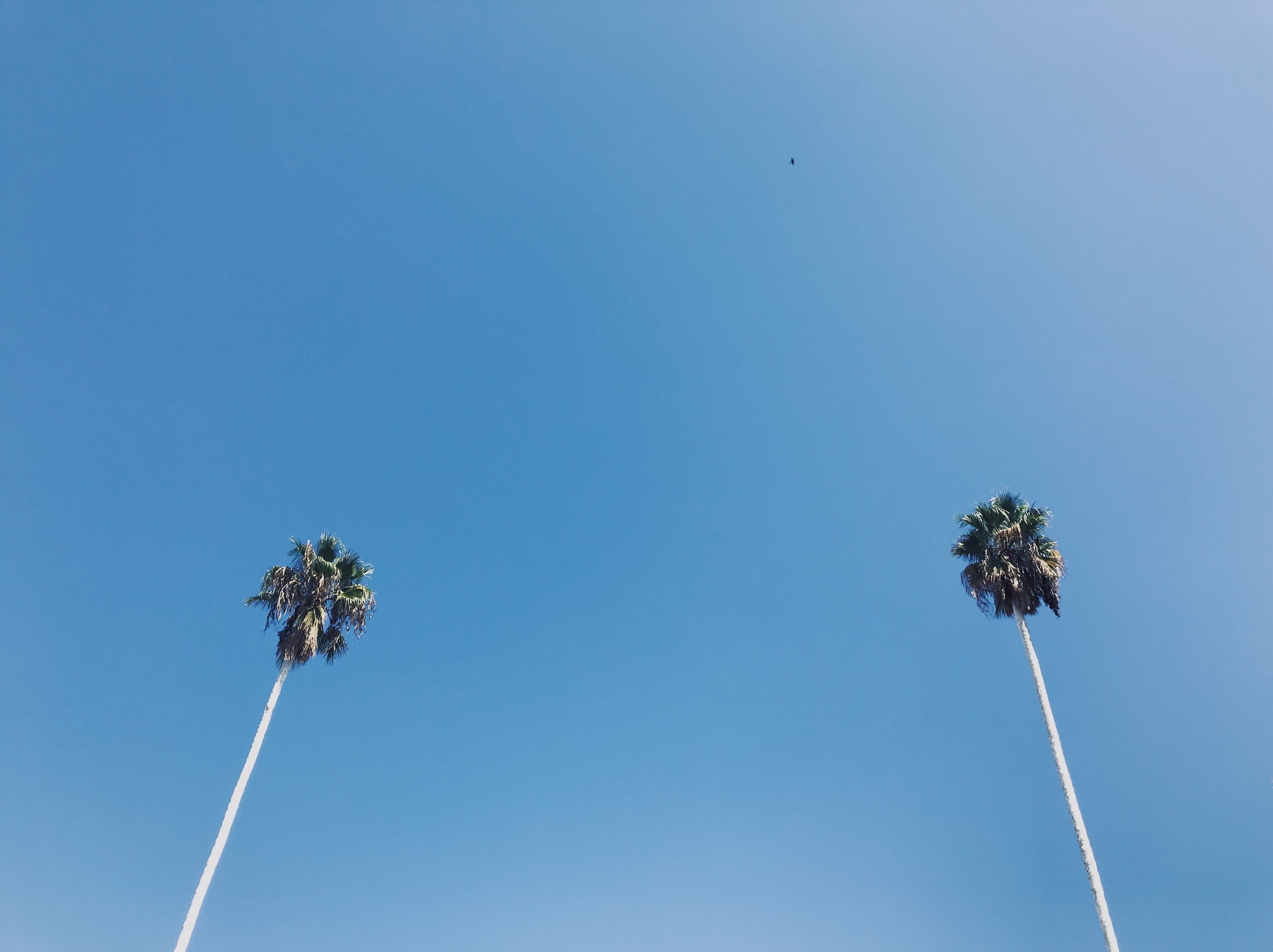 I Could Ride 500 Miles