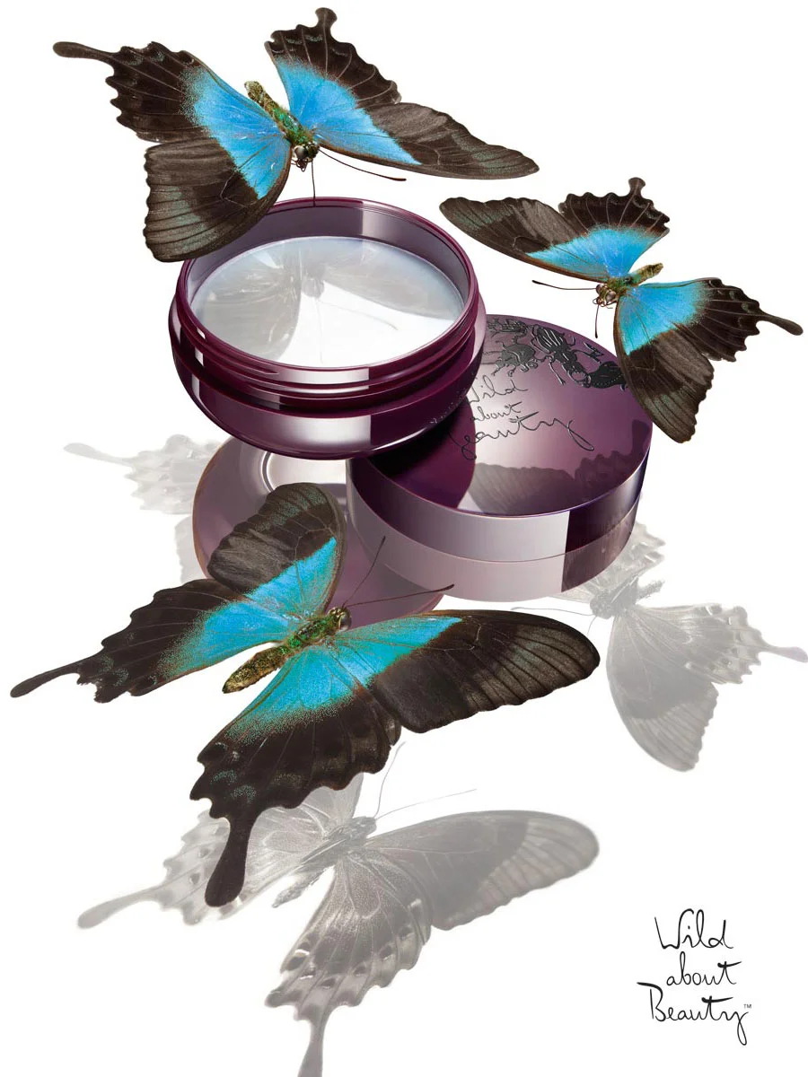 Nori_Inoguchi_Still_life_photographer_nyc_butterfly.jpg