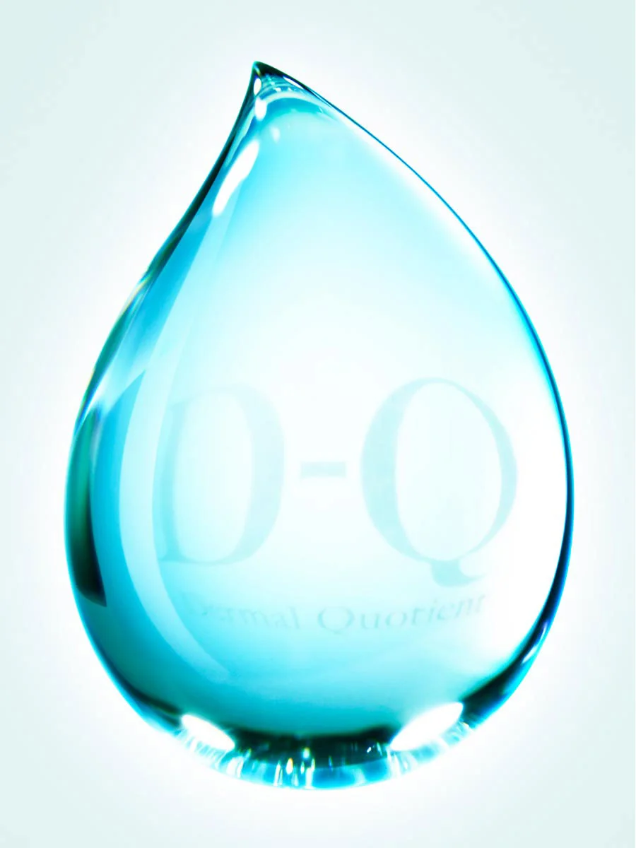130614.2_dq_3_dropicon.jpg