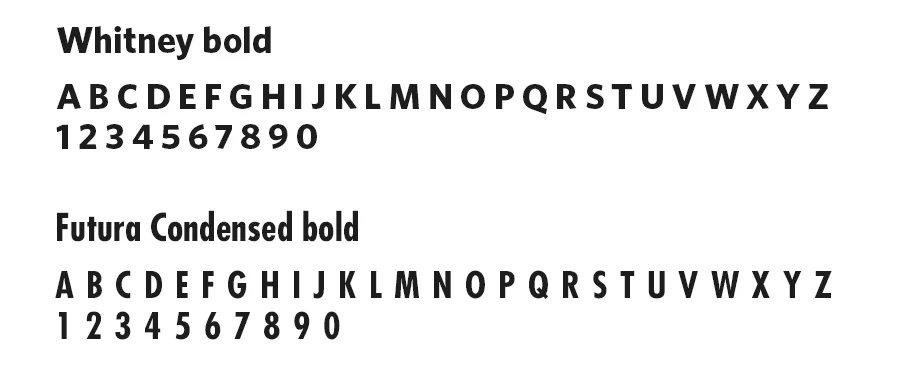 Typo Vaya.jpg