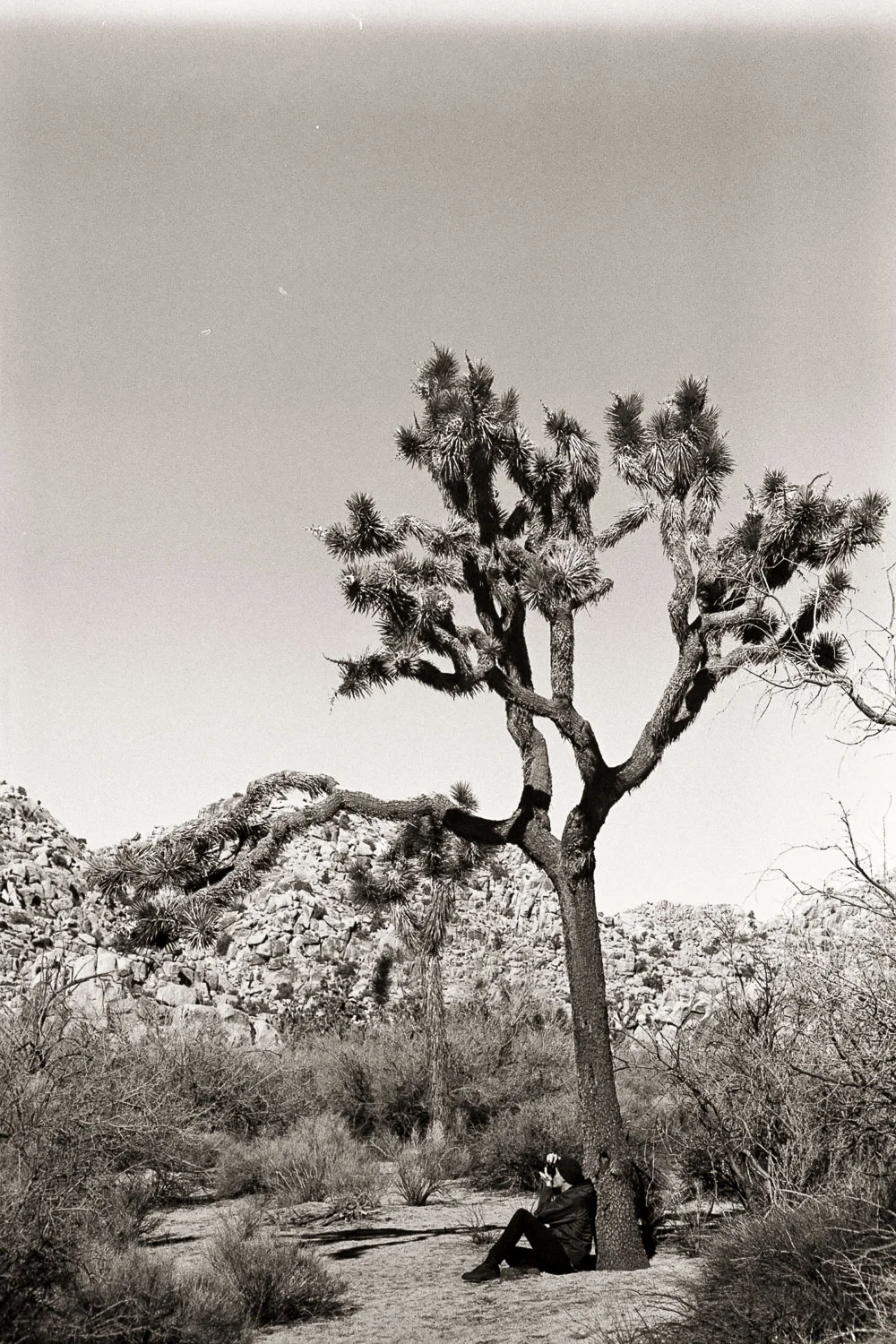 untitled--13.jpg