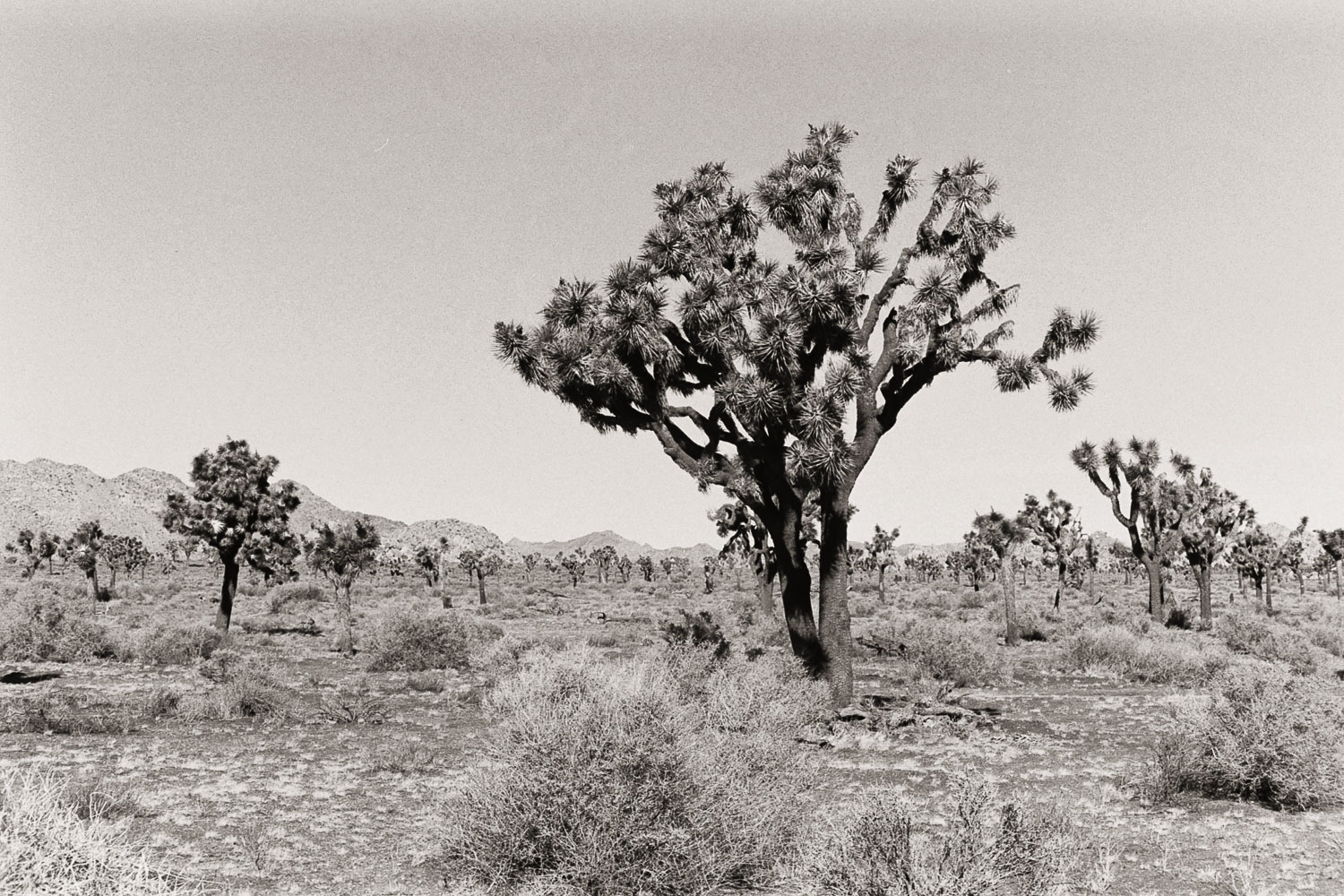 untitled-.jpg