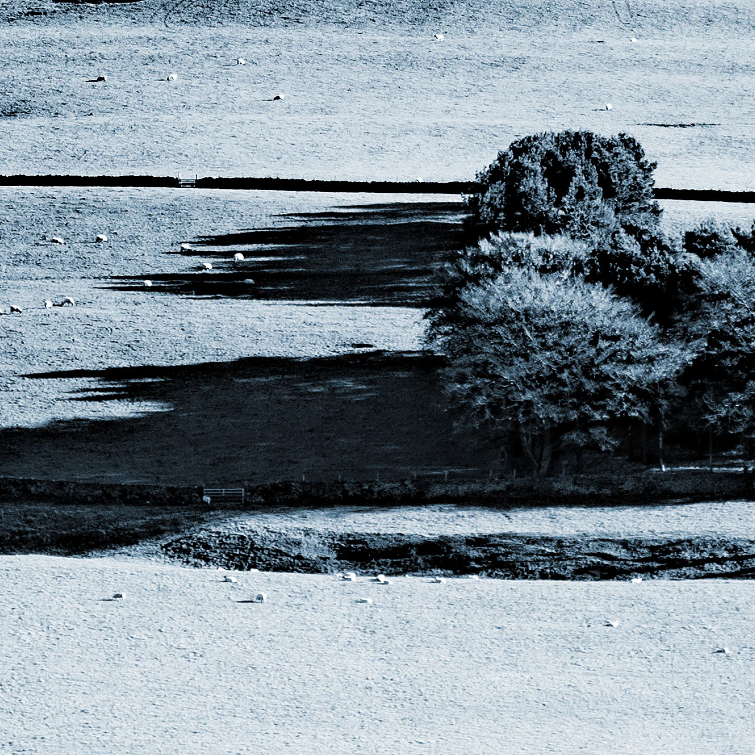 Simon-Bridges-3.jpg