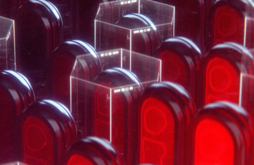 f8fb7fa7-dc98-42de-bb0f-da4d2ea11b83_rw_1200.png