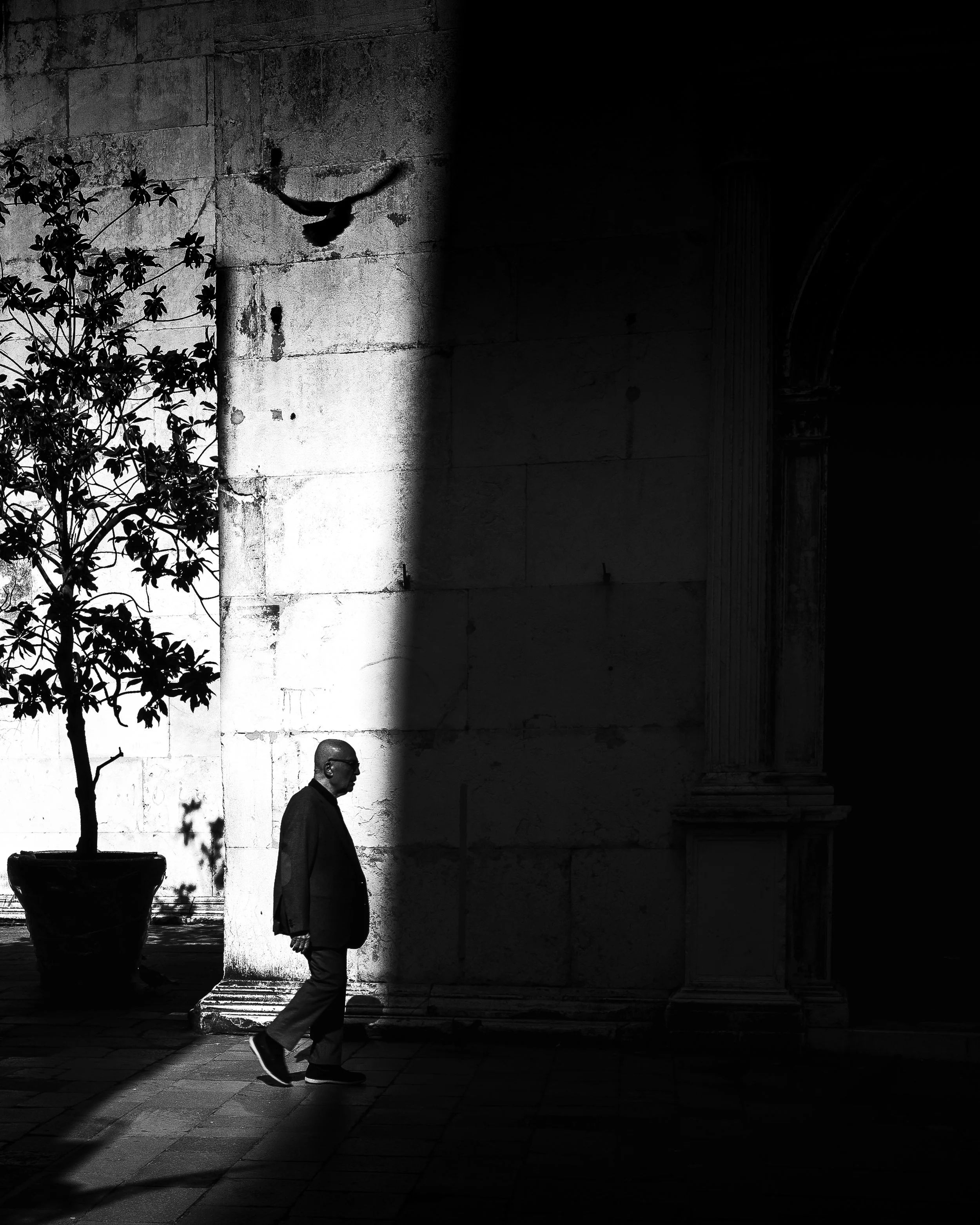 682A2831-Edit.jpg