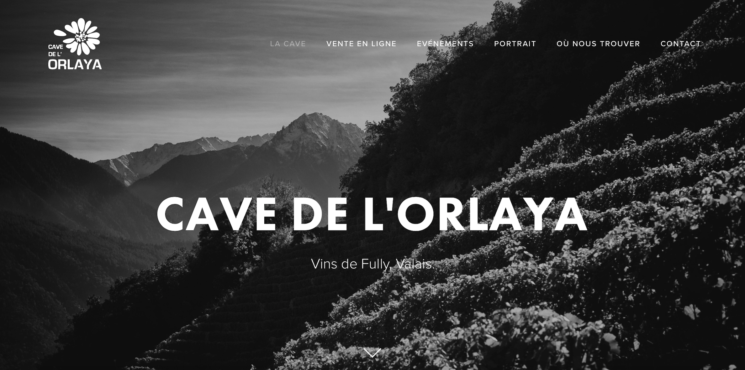 Cave de l'Orlaya | Digital/Visual identity