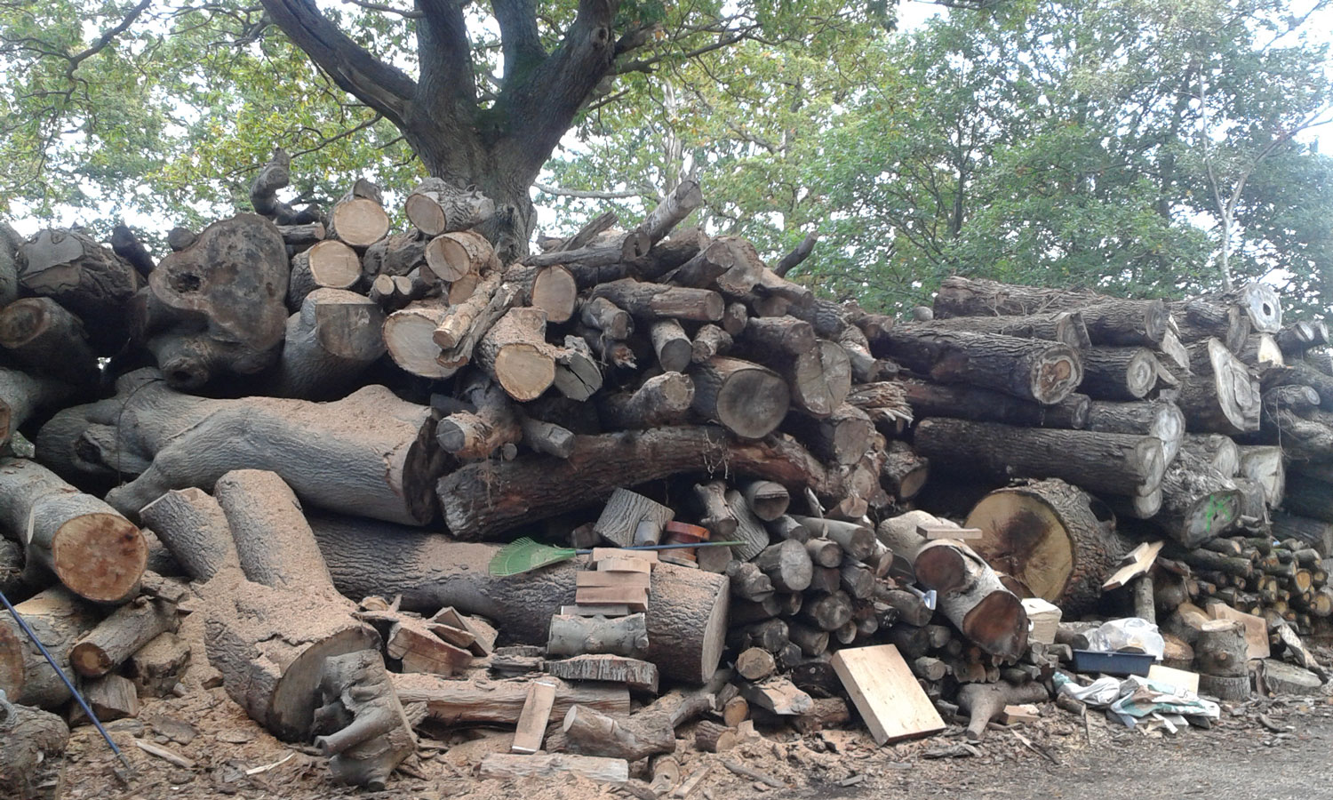 Oak-cases-before.jpg