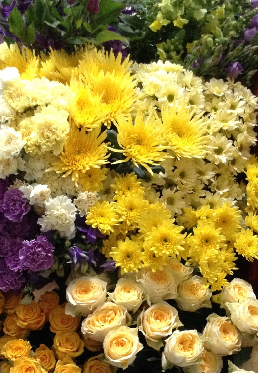 Learn to choose the best flowers.