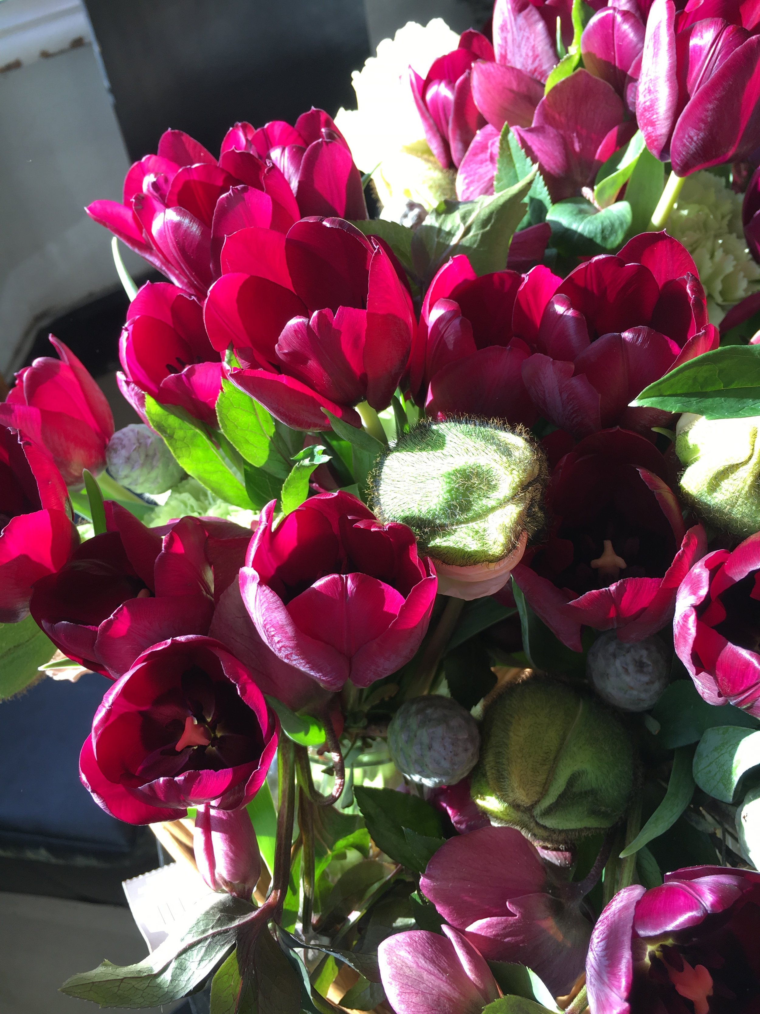 Top Ten Tips for Longlasting Flowers — Pip Bensley Flowers