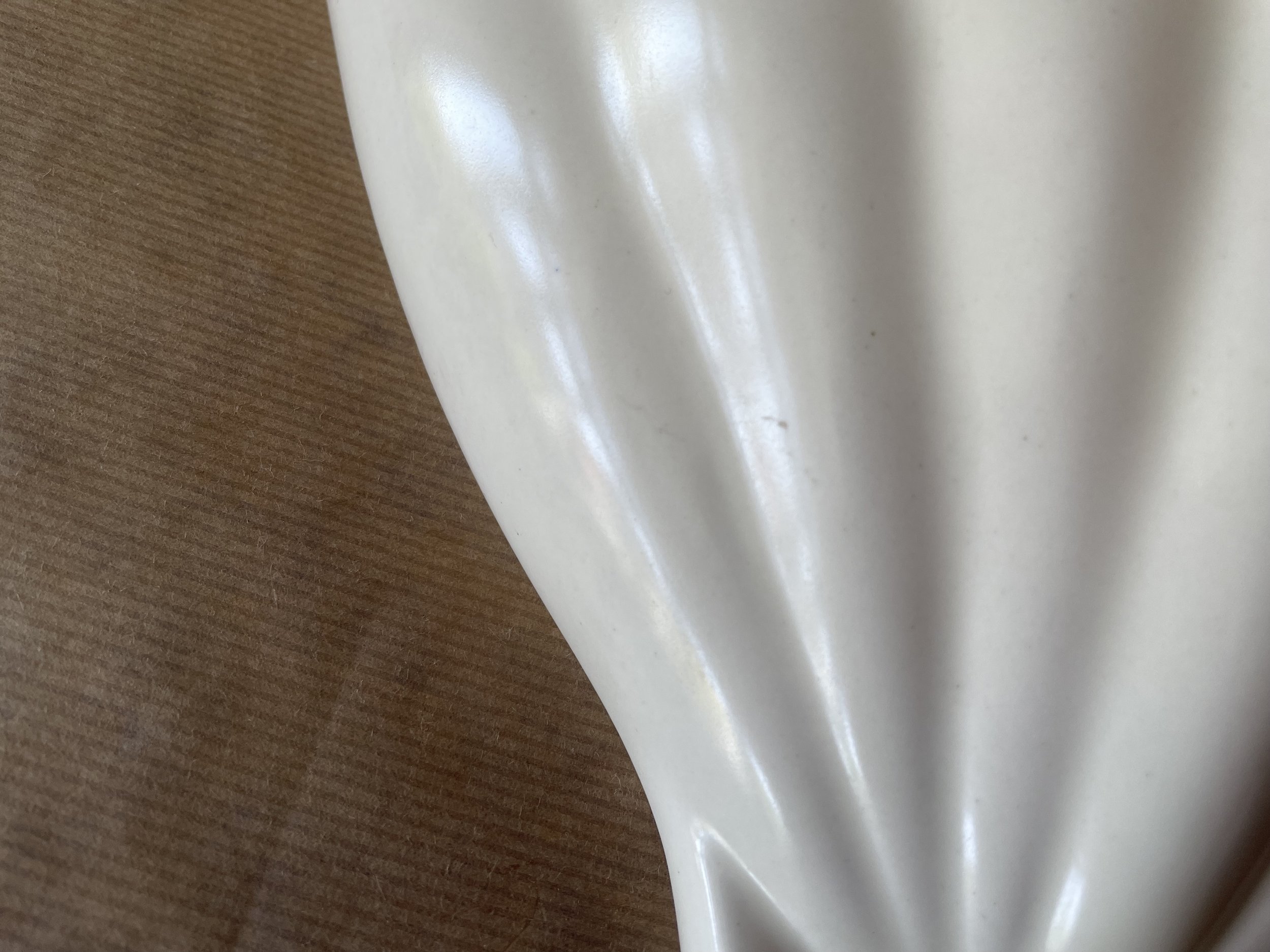 IMG_5571.jpeg