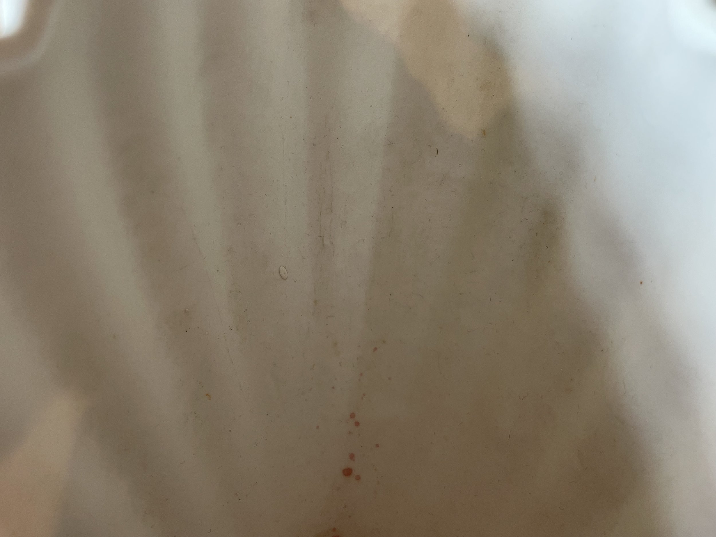 IMG_4189.jpeg