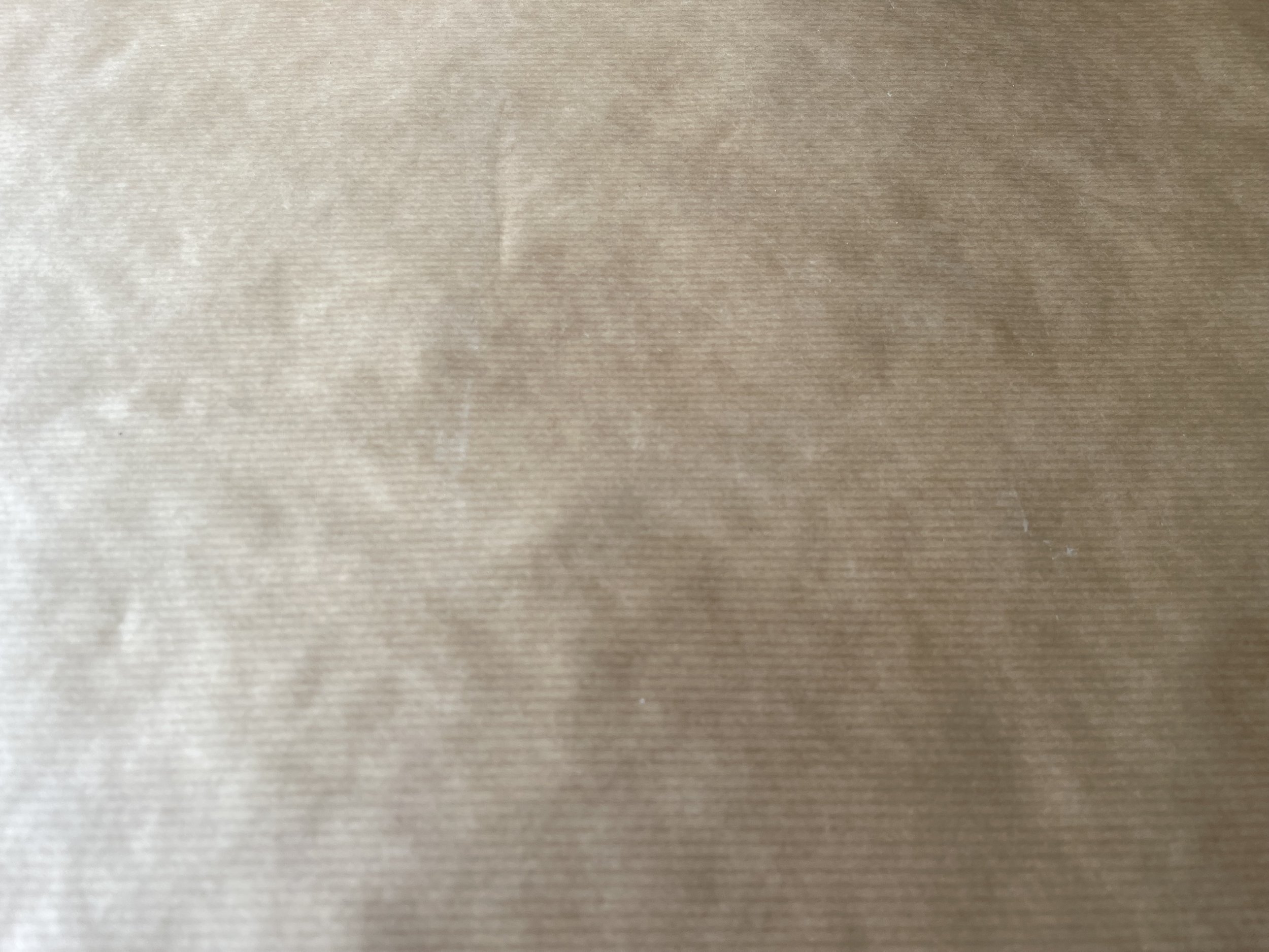IMG_3711.jpeg