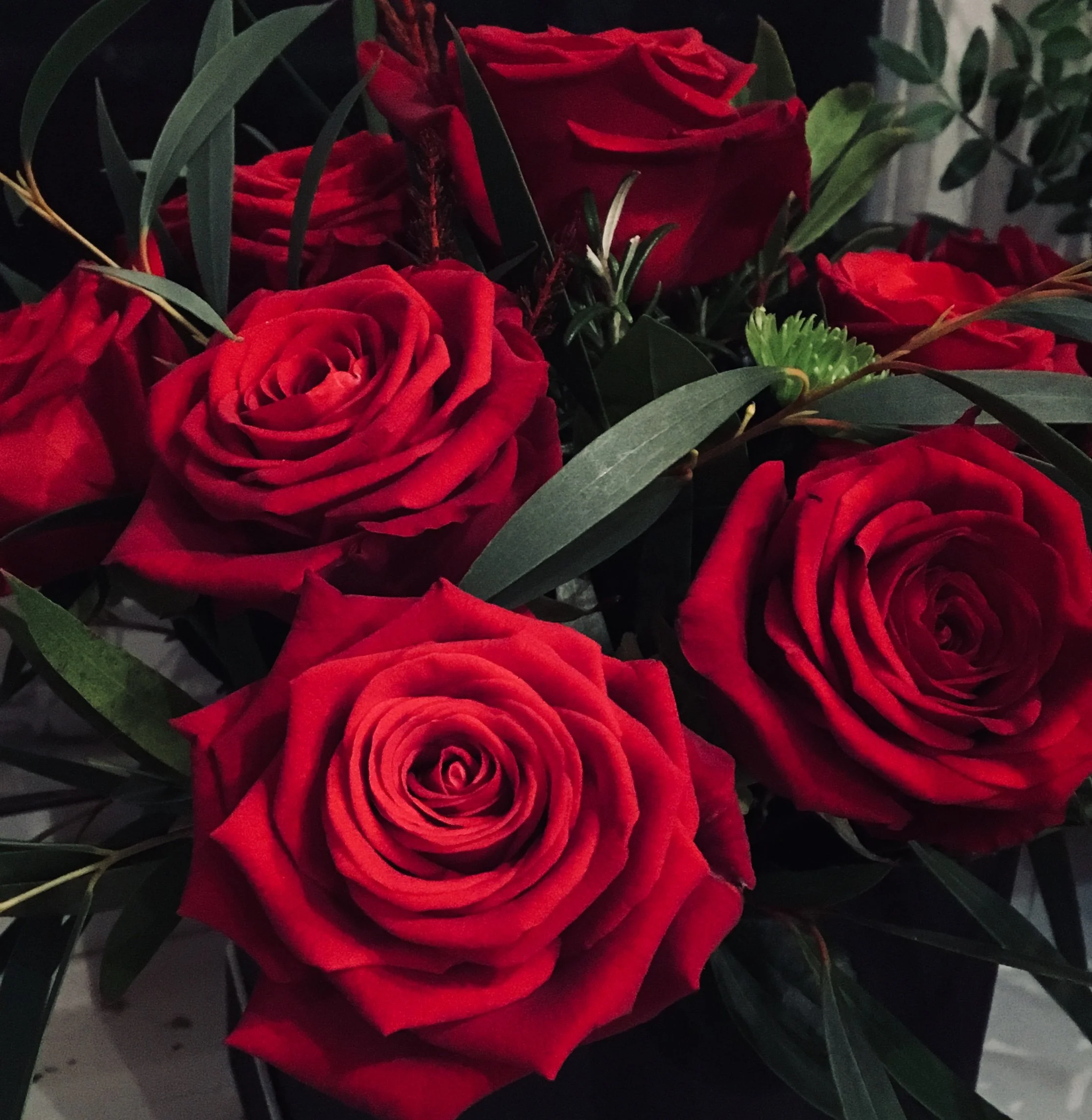 IMG_6673 copy crop.jpg