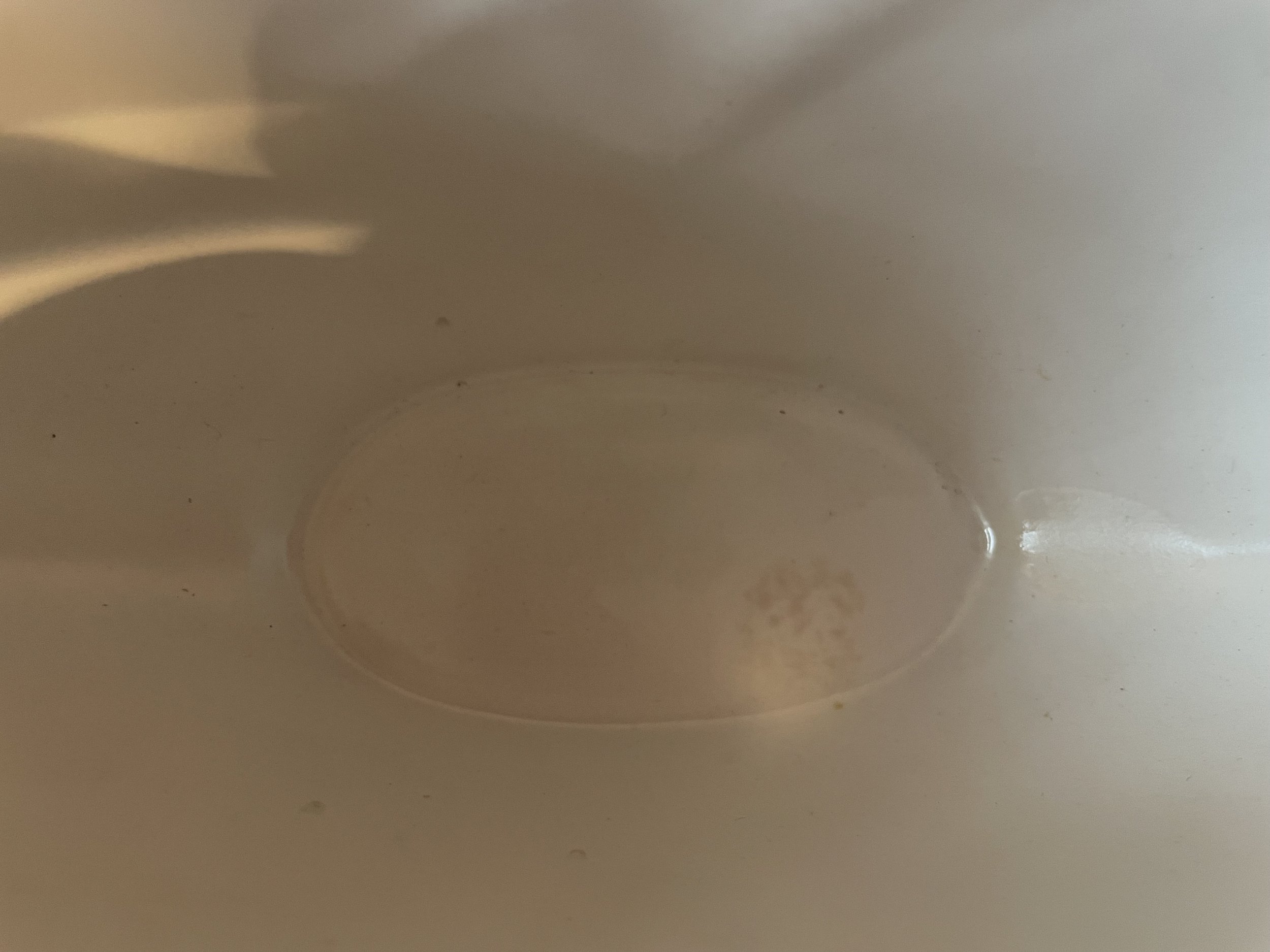 IMG_9989 2.jpeg