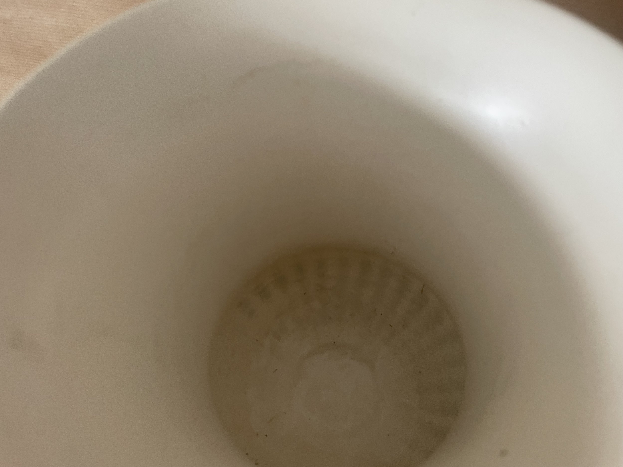 IMG_4506.jpeg