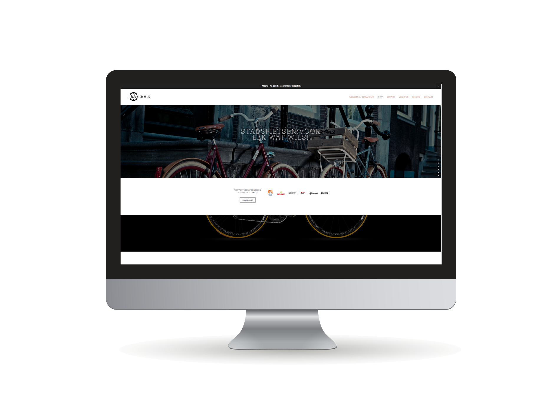 website BikeAholic