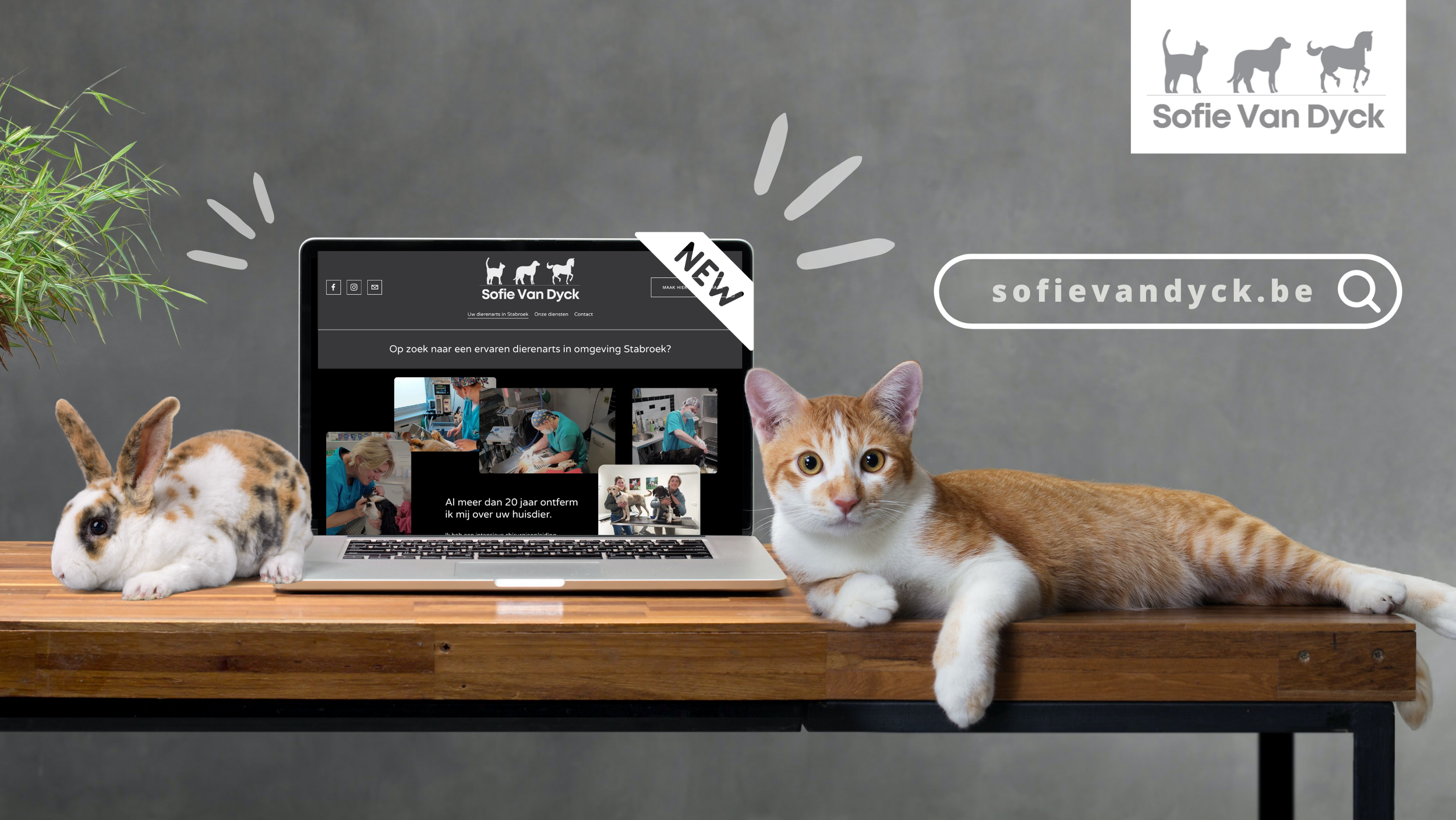 Sofie van dyck simulatie website .png